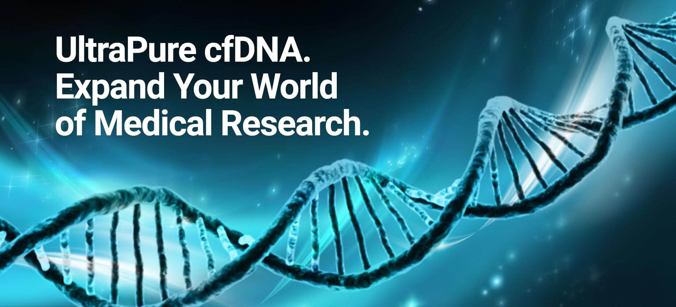 DNA strand representing human purified cfDNA